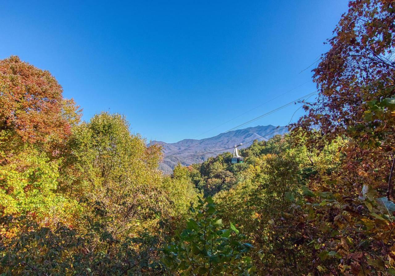 Daya, Hot Tub, Pool Table, 1089 Of Free Attraction Tickets For Each Paid Day, Dollywood And More! Gatlinburg Exterior foto